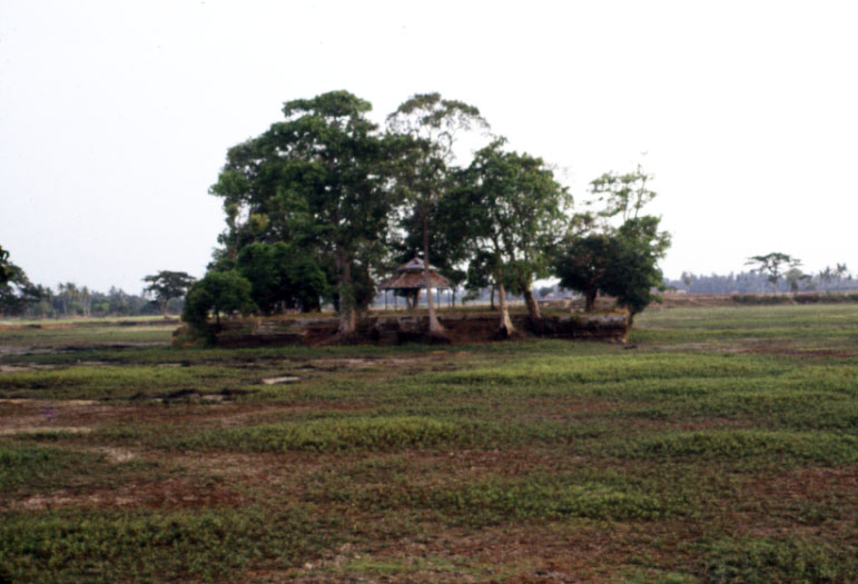 Photo 5 Tasik Ardi.jpg